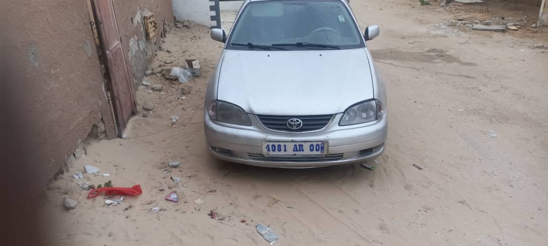 فرصة آفنسيس حالتها العامة زينة