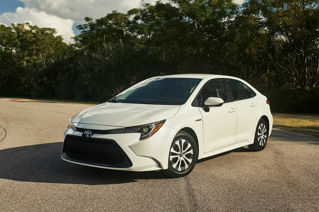 Corolla LE 2020
