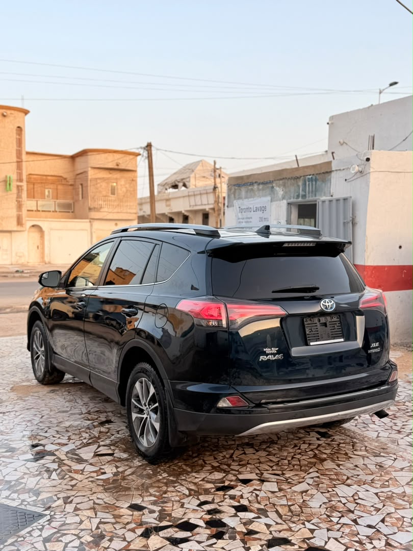 RAV4 Hybride XLE 2018