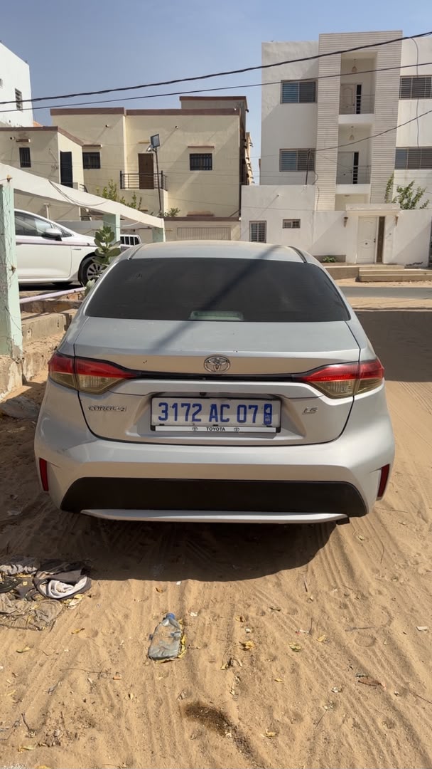 2020 ful مولاه بايع