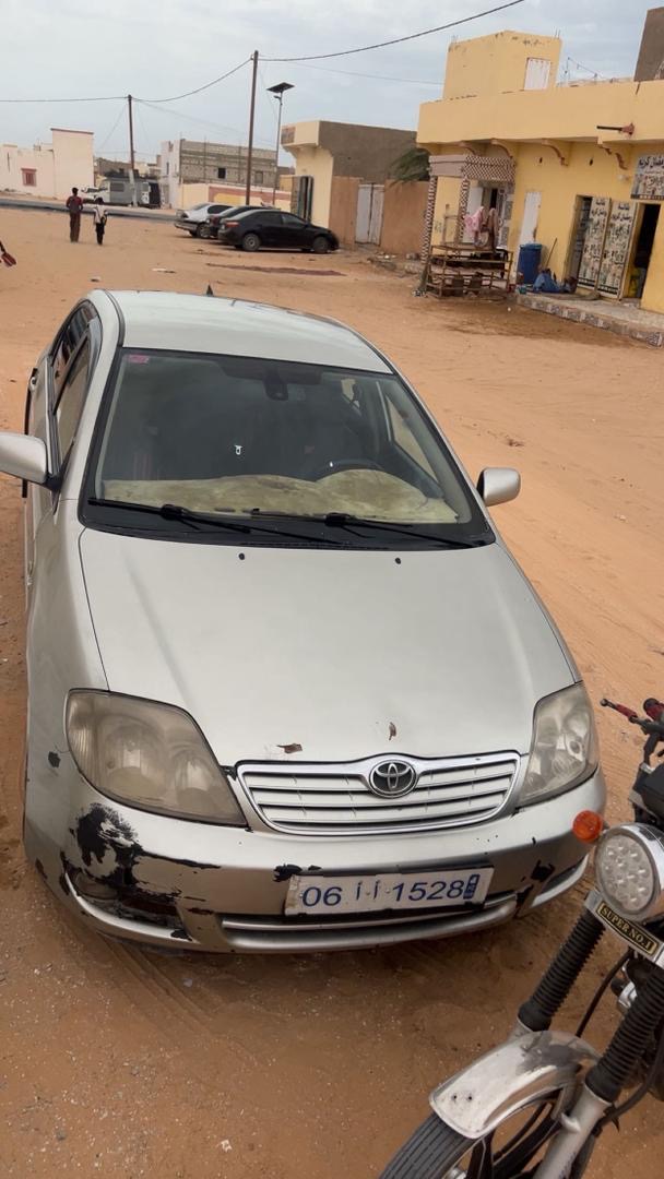 Toyota Silver