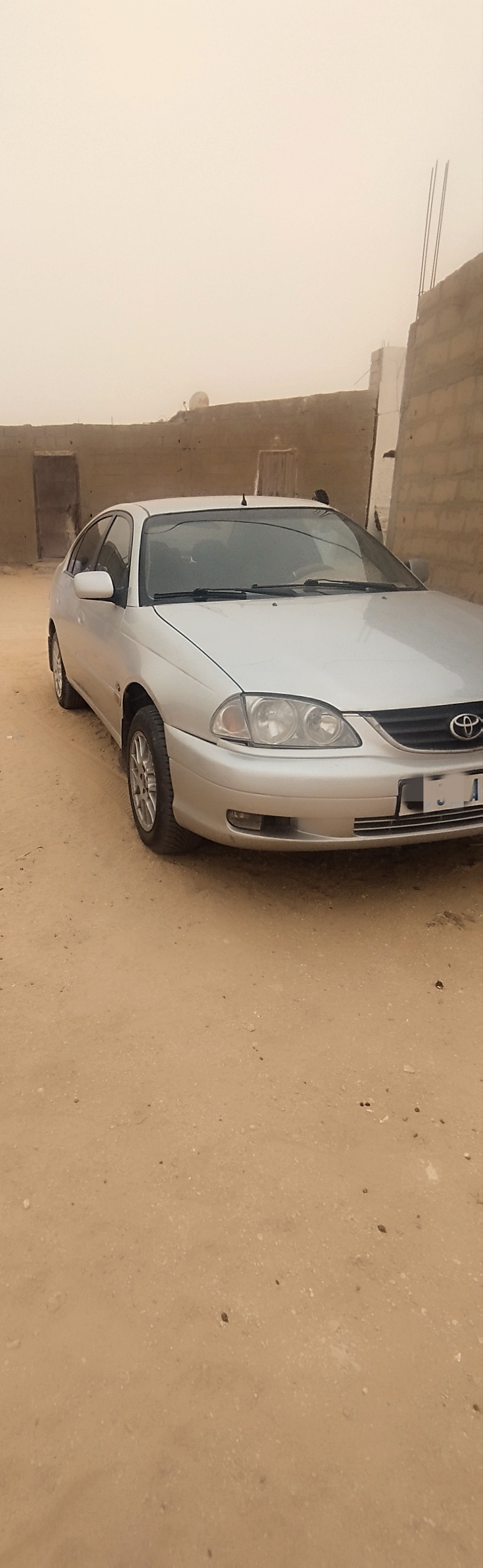 Avensis atica