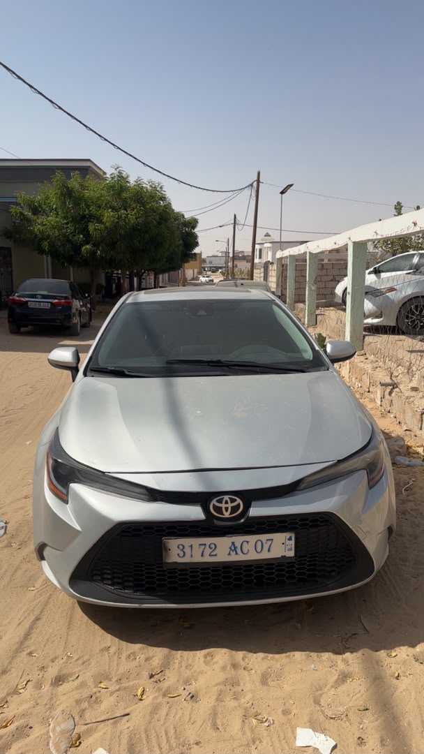 2020 ful مولاه بايع