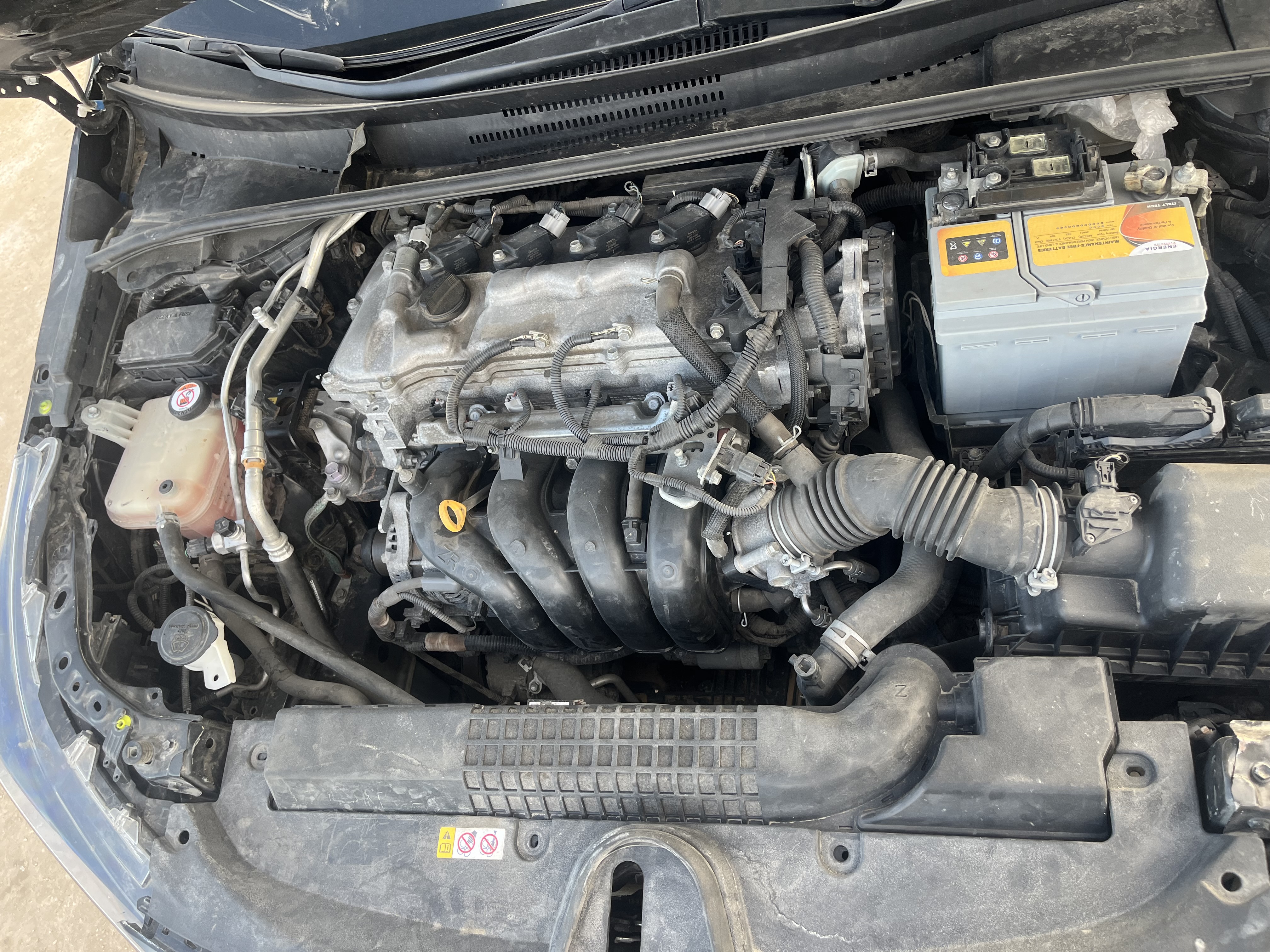 تويوتا كورولا 2020  ماه مرقمة